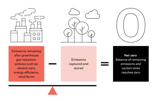 Expert Explainer: Net Zero Or Net Hero? | Ada Lovelace Institute